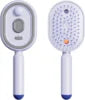 Micro-Mist Self-Cleaning Hair Brush | Electric Steam Spray Comb with Red Light Scalp Therapy